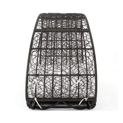 Alora Large 2-Person Abigal Outdoor Wicker Daybed With Aluminum Frame And Cushions